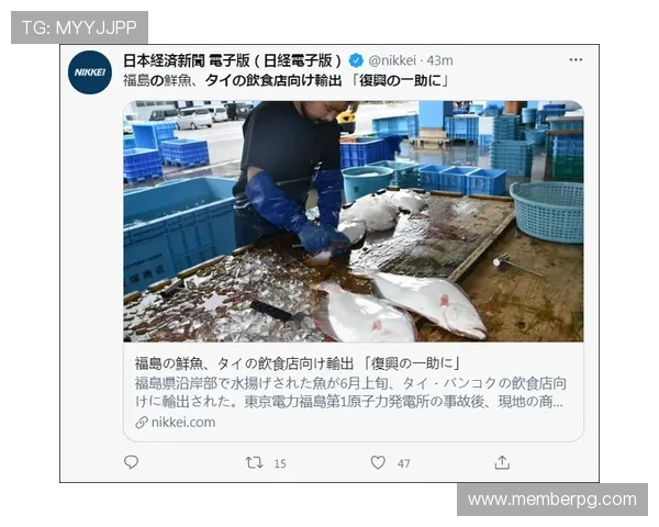 AG厅电投官方地址导航，确保每位玩家都能安全进入正规投注平台